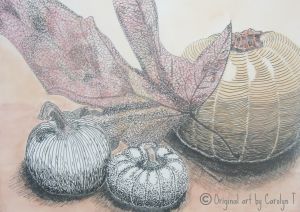 Fall Harvest, pen and ink with watercolor