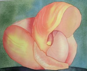Shell in shell, watercolor