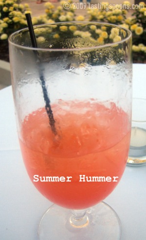 summer hummer