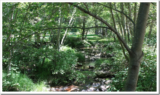 weber creek