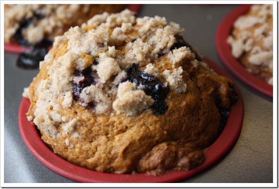blueberry pumpkin muffin