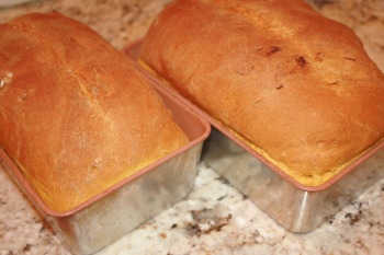 pumpkin bread yeast