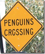 penguinscrossing