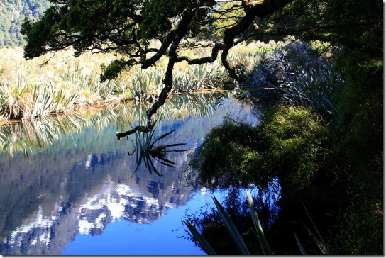 fiordland_national_park_reflection2