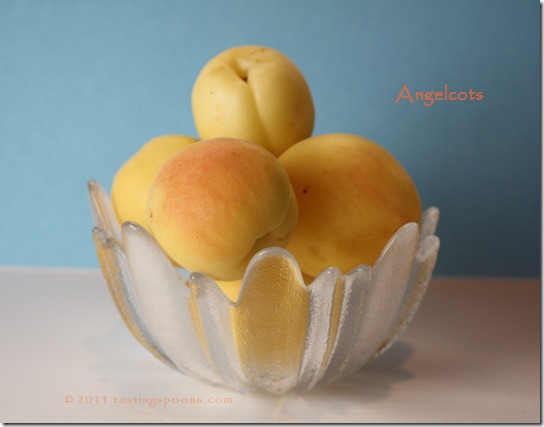 angelcots_bowl
