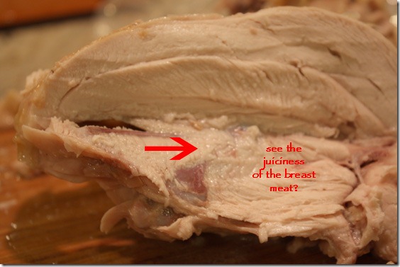 breast_meat_closeup