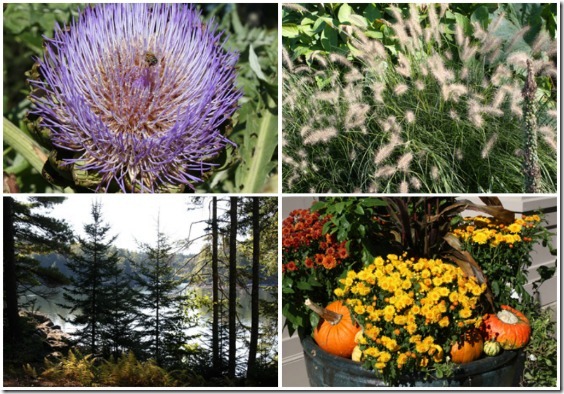 botanical_garden_collage2