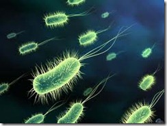 germs2