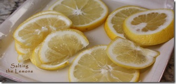 salting_lemons