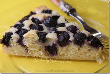 blueberry_nutmeg_cake_slice