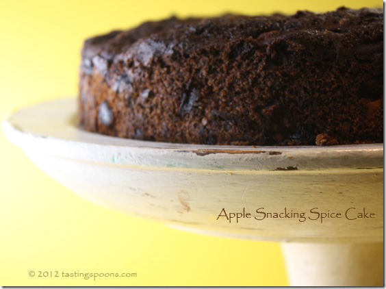 apple_snacking_spice_cake