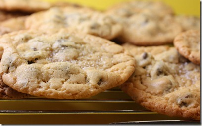 salty_choc_chip_cookies_horizontal