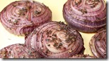 baked-onions