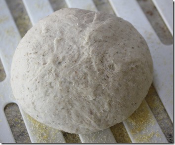 european_peasant_bread_raw_dough