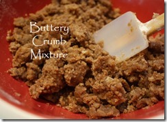buttery_crumb_mixture