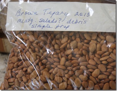 brown_tepary_beans_dried