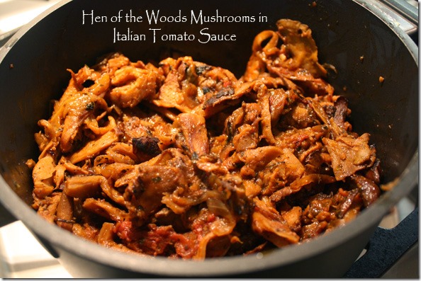 hen_of_the_woods_in_tomato_sauce