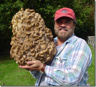 joe_holding_big_mushrooms