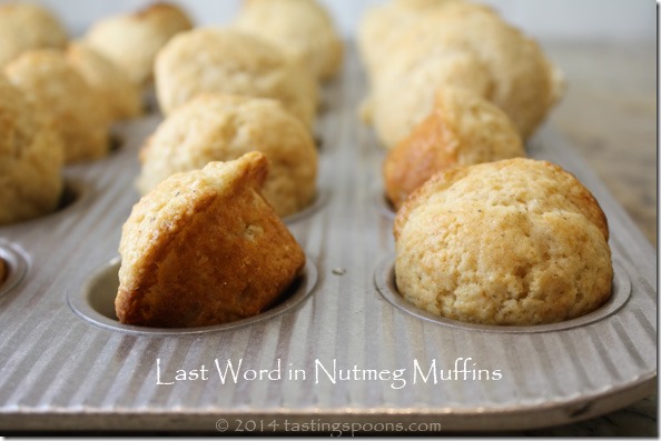 last_word_nutmeg_muffins