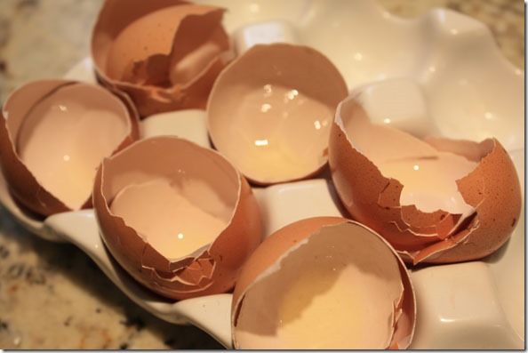 egg_shells