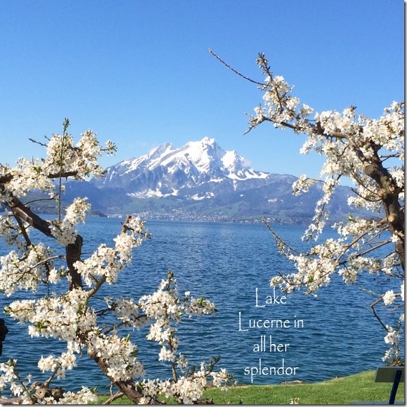 lake_lucerne_spring_flowers