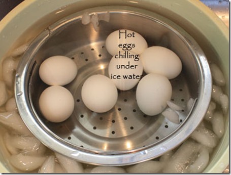 eggs_chilling_ice_water