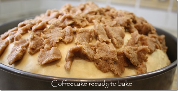 cream_filled_coffeecake_ready_to_bake