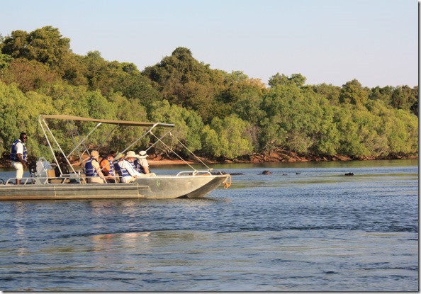 zambezi_hippo_boat