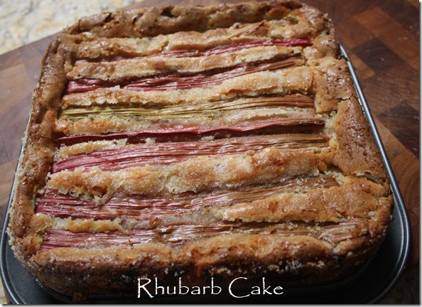 rhubarb_cake_square_springform