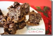 no_bake_holiday_cookie_cubes_175