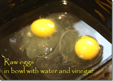 raw_eggs_for_poaching