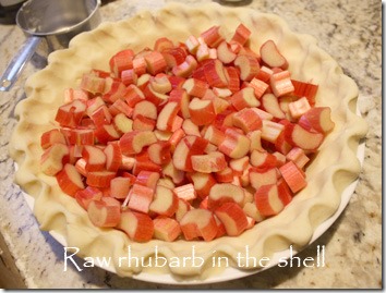 rhubarb_in_shell_raw