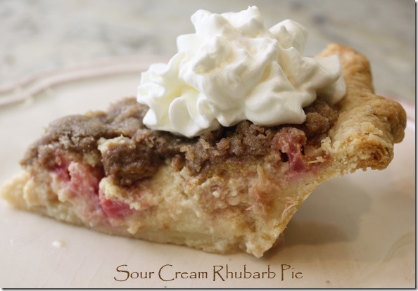 sour_cream_rhubarb_pie_slice