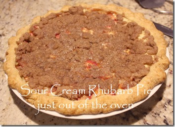 sour_cream_rhubarb_pie_streusel_crust_out_of_oven