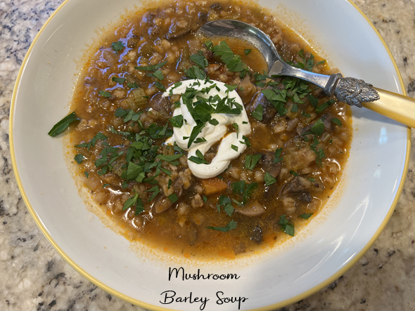 Beef Barley Soup - Dinner at the Zoo